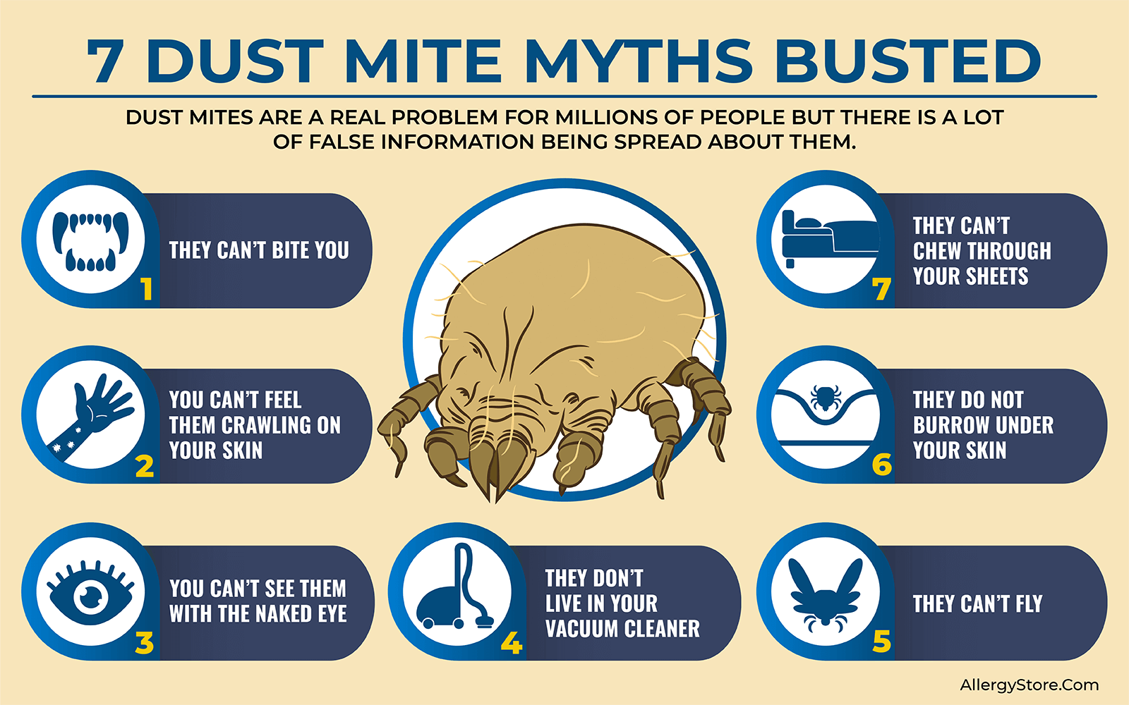 Can Bed Bugs Live on an Air Mattress? Myths Busted!